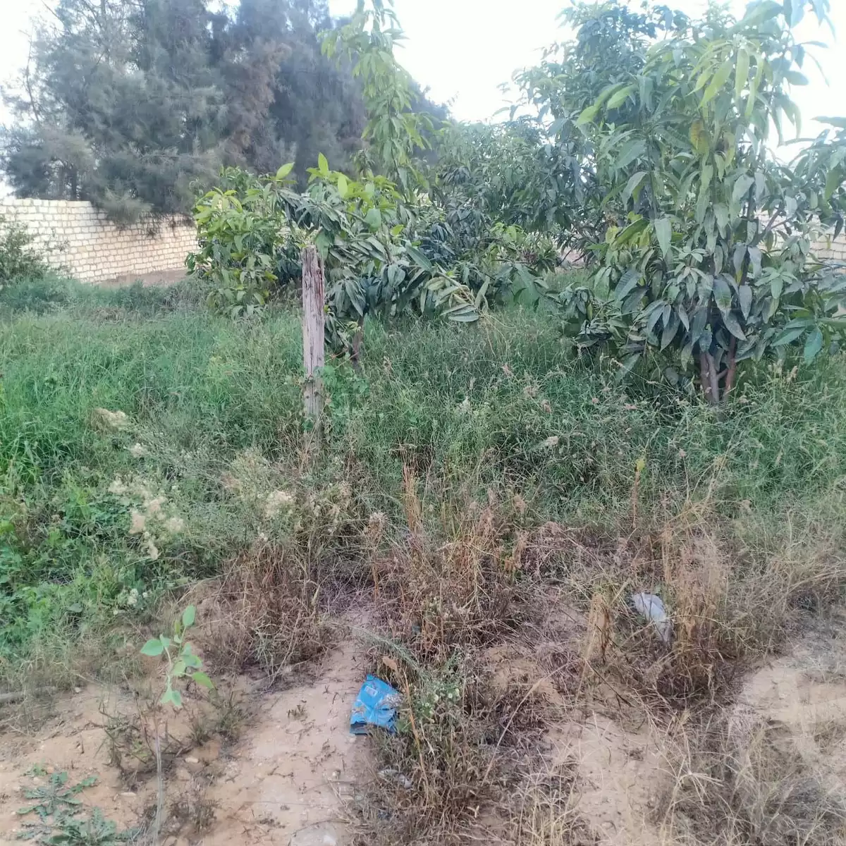 https://aqarmap.com.eg/ar/listing/4201156-for-sale-sharqia-bilbeis-el-salam