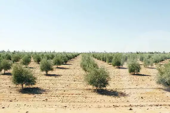 https://aqarmap.com.eg/ar/listing/4201944-for-sale-north-coast-new-alamein-lhy-lltyny-lshrk-ls-wdy-lmsry-llt-myr