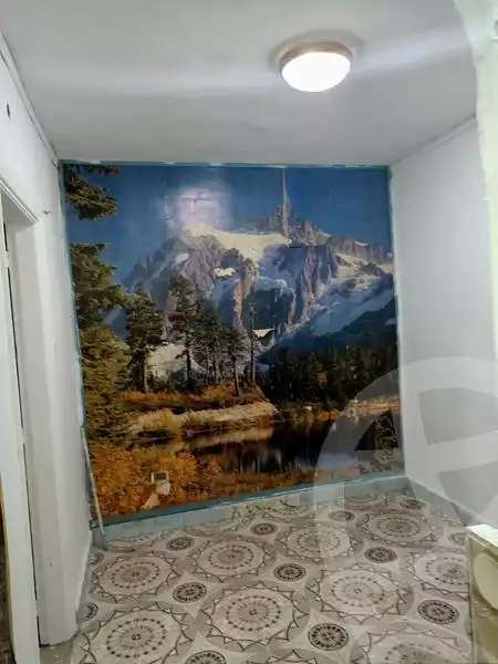 https://aqarmap.com.eg/ar/listing/4226633-for-rent-cairo-el-sayyeda-zeinab-berket-al-baghl-st
