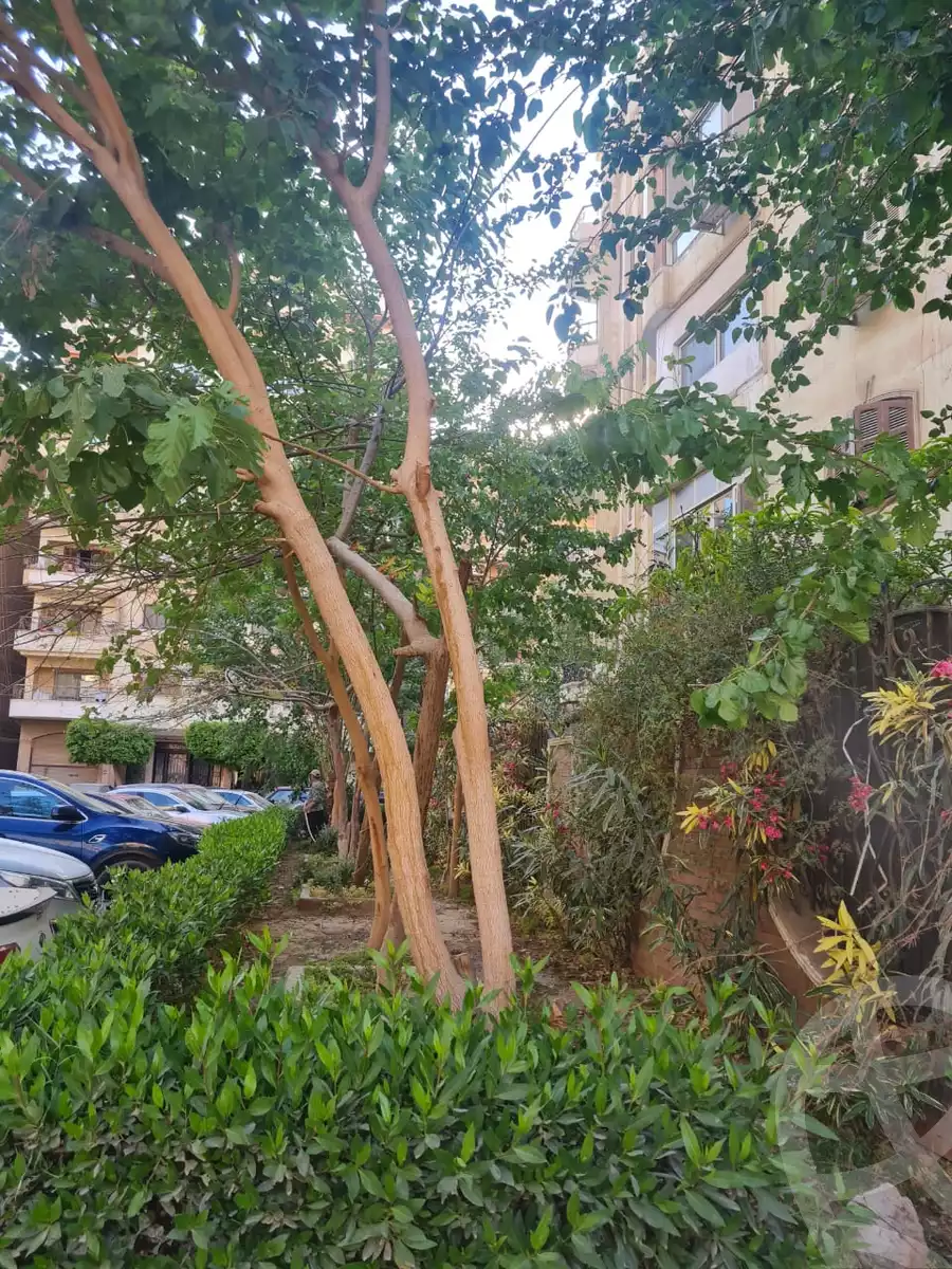 https://aqarmap.com.eg/ar/listing/5600642-for-rent-cairo-mokattam-lhdb-l-ly