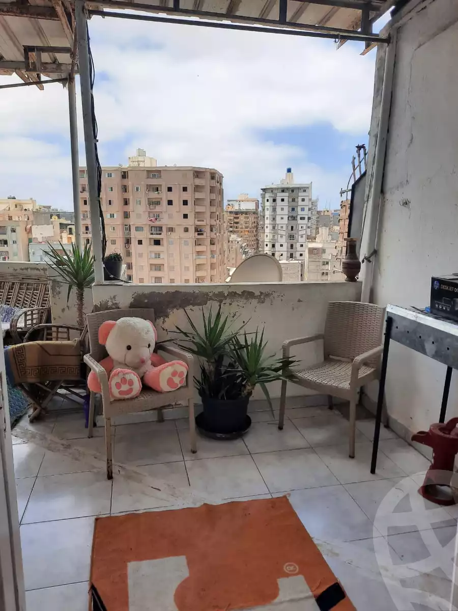 https://aqarmap.com.eg/en/listing/4234557-for-rent-gamila-abu-herid-st