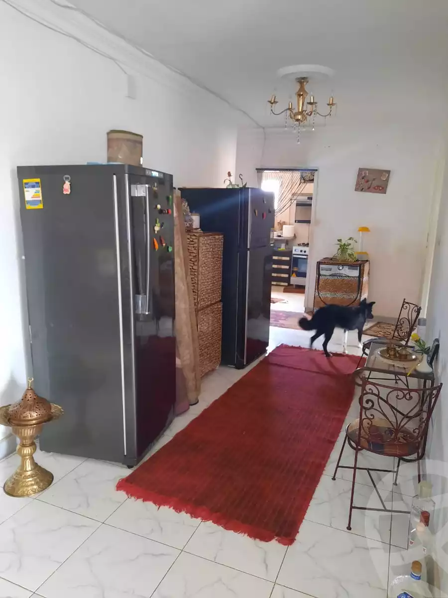 https://aqarmap.com.eg/en/listing/4234557-for-rent-gamila-abu-herid-st