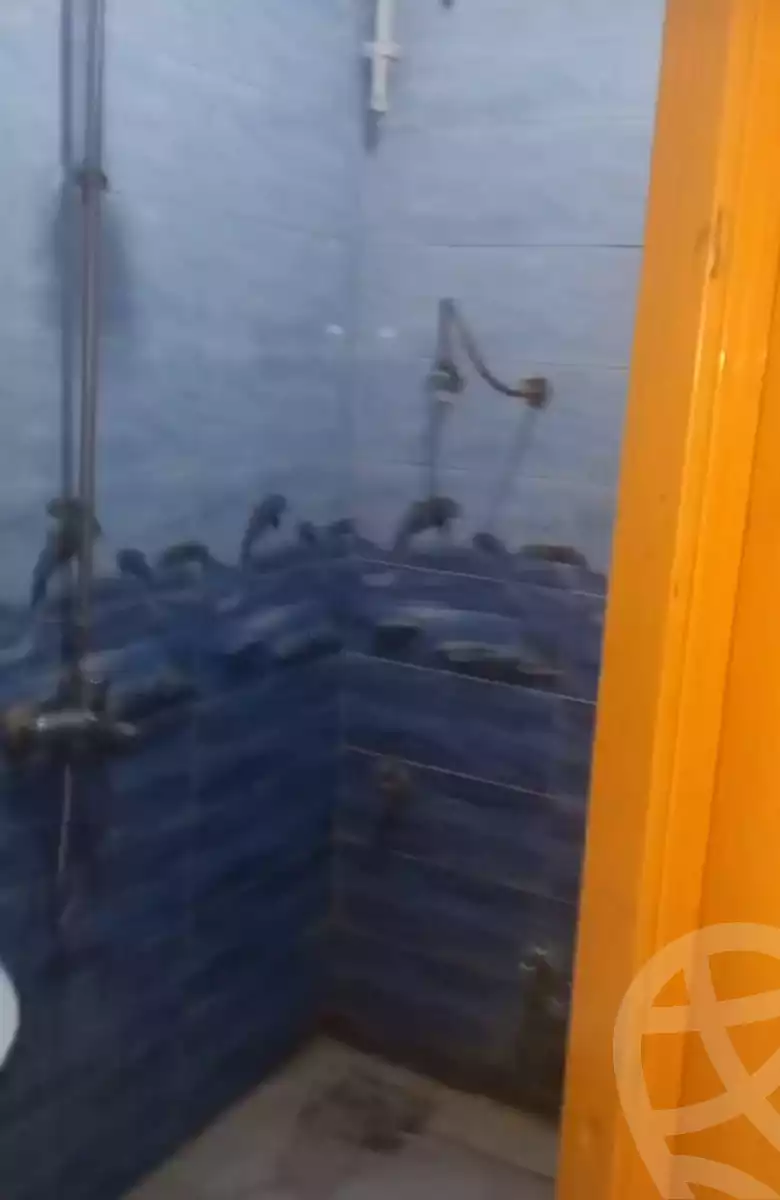 https://aqarmap.com.eg/en/listing/4240466-for-rent-qalyubia-el-khsos-el-khosos-city