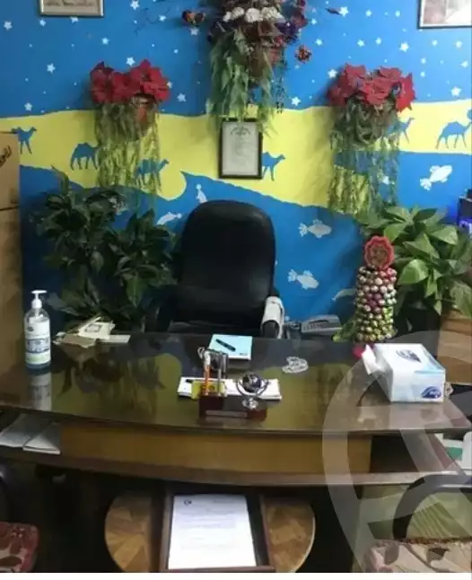 https://aqarmap.com.eg/en/listing/4270415-for-sale-cairo-nasr-city-emedad-ramsis-mamdouh-salem-st
