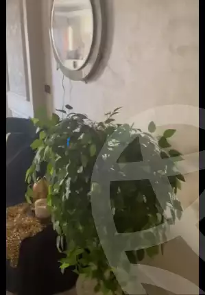 https://aqarmap.com.eg/en/listing/4288994-for-sale-alexandria-moharram-bey-ali-al-askandarani-st