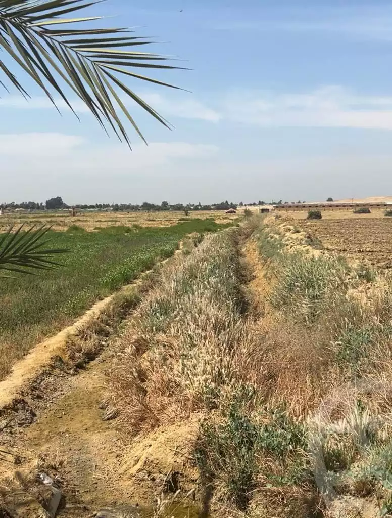 https://aqarmap.com.eg/ar/listing/4312131-for-sale-el-fayoum-tamiya-tamiyyah-city