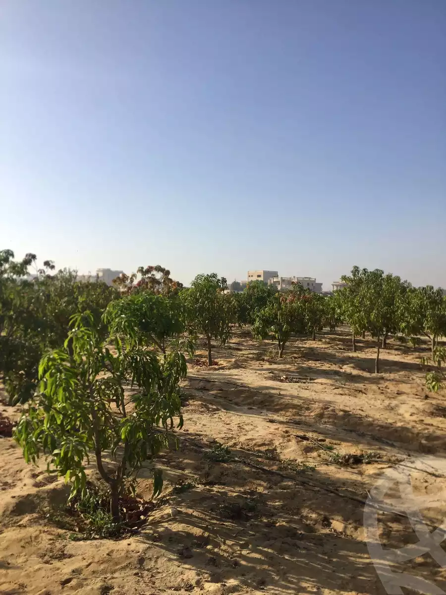 https://aqarmap.com.eg/en/listing/4317377-for-sale-cairo-alex-cairo-desert-road-mdyn-sfnks-ljdyd-de-joya-park-compound-taj-misr