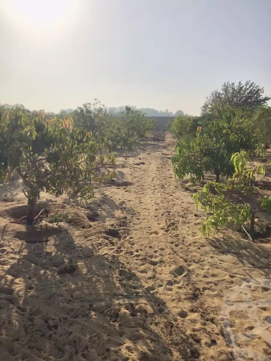 https://aqarmap.com.eg/en/listing/4317377-for-sale-cairo-alex-cairo-desert-road-mdyn-sfnks-ljdyd-de-joya-park-compound-taj-misr