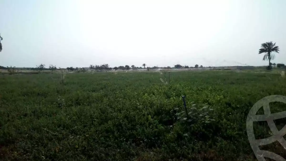 https://aqarmap.com.eg/ar/listing/4335896-for-sale-cairo-giza-el-saf-ghammaza-el-kobra-village