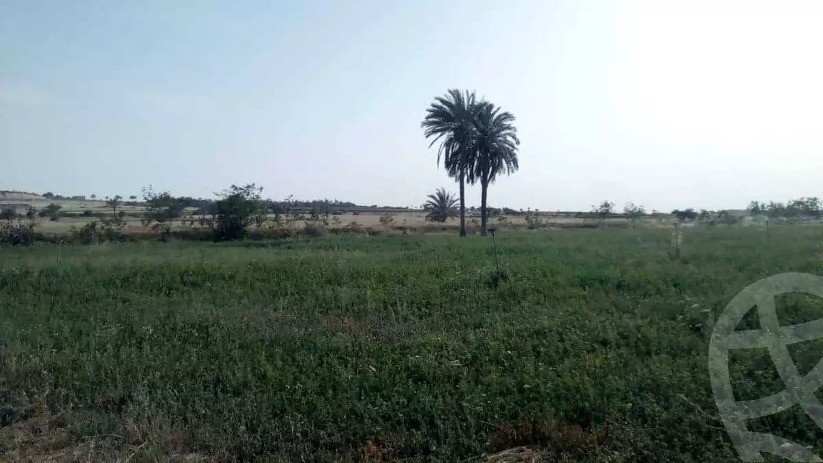 https://aqarmap.com.eg/ar/listing/4335896-for-sale-cairo-giza-el-saf-ghammaza-el-kobra-village
