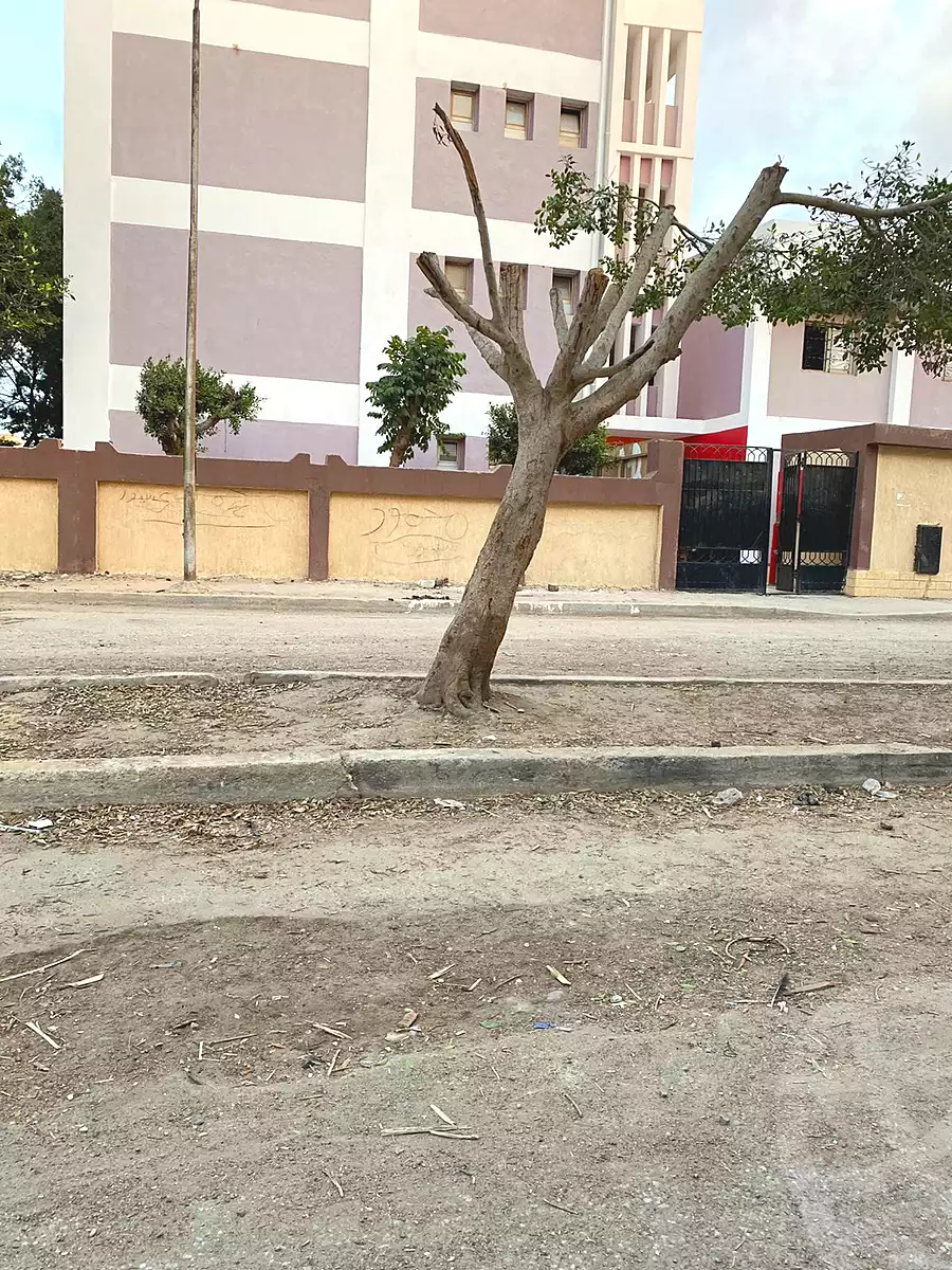 https://aqarmap.com.eg/ar/listing/4338812-for-sale-isbico