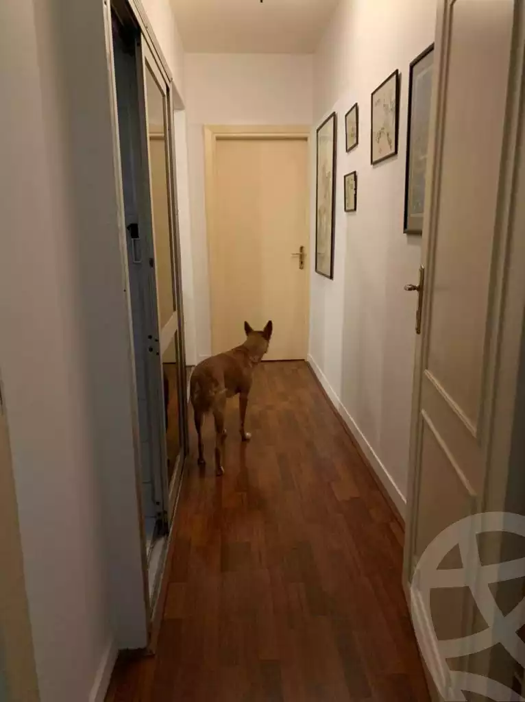 https://aqarmap.com.eg/en/listing/4341299-for-sale-cairo-al-zamalek-elzamalek-elqibliya
