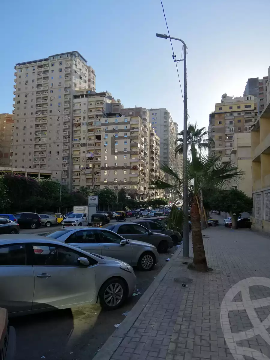 https://aqarmap.com.eg/en/listing/4080094-for-sale-alexandria-miami-mahmoud-el-isawy-st
