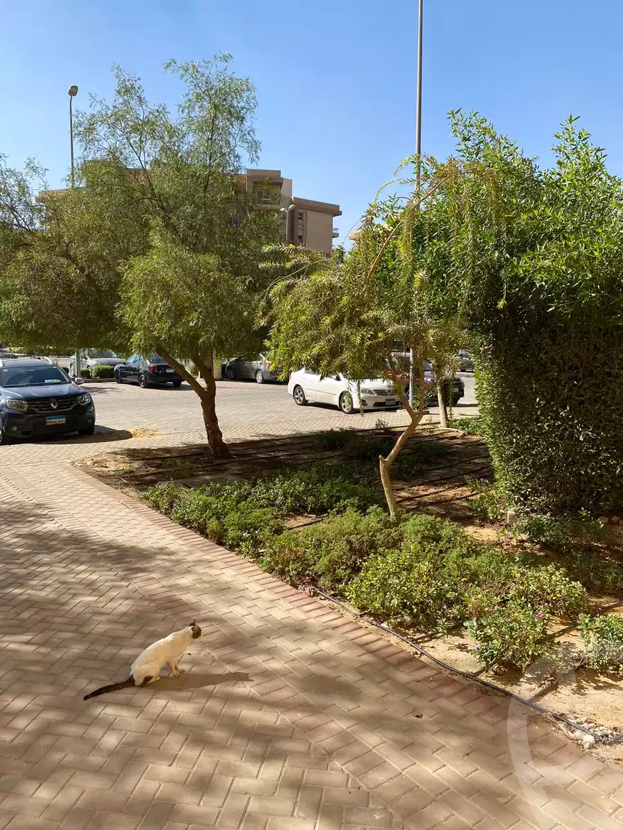 https://aqarmap.com.eg/en/listing/4350757-for-sale-cairo-6th-of-october-hadaeq-october-kmbwnd-fy-hdyq-ktwbr-ashgar-city