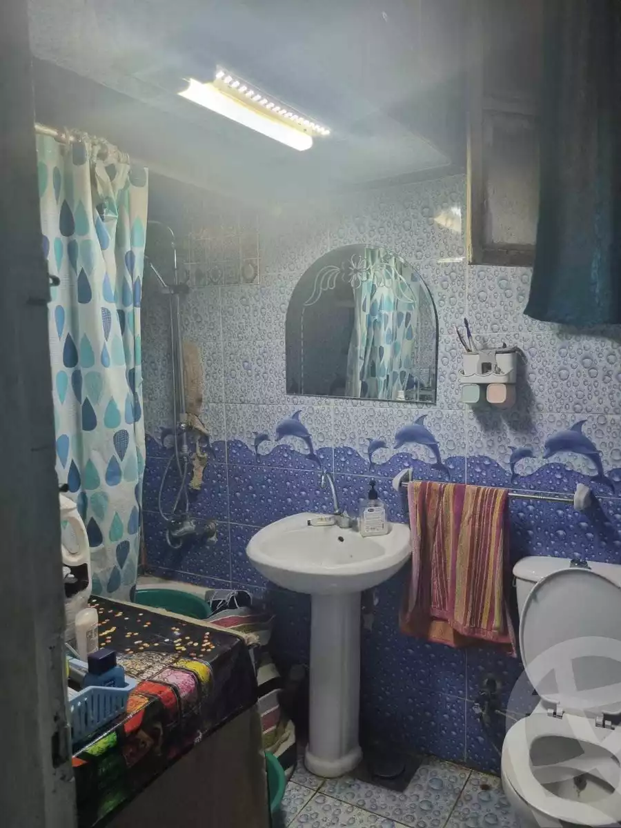 https://aqarmap.com.eg/en/listing/4352776-for-sale-cairo-shoubra-jzyr-bdrn-al-masara-st