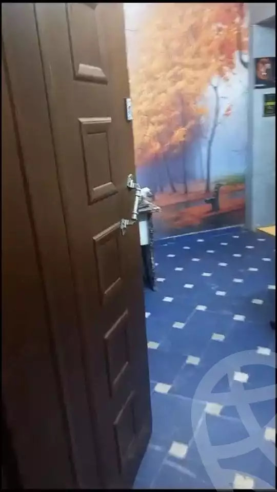 https://aqarmap.com.eg/en/listing/4356222-for-sale-cairo-ain-shams-mnshy-lthryr