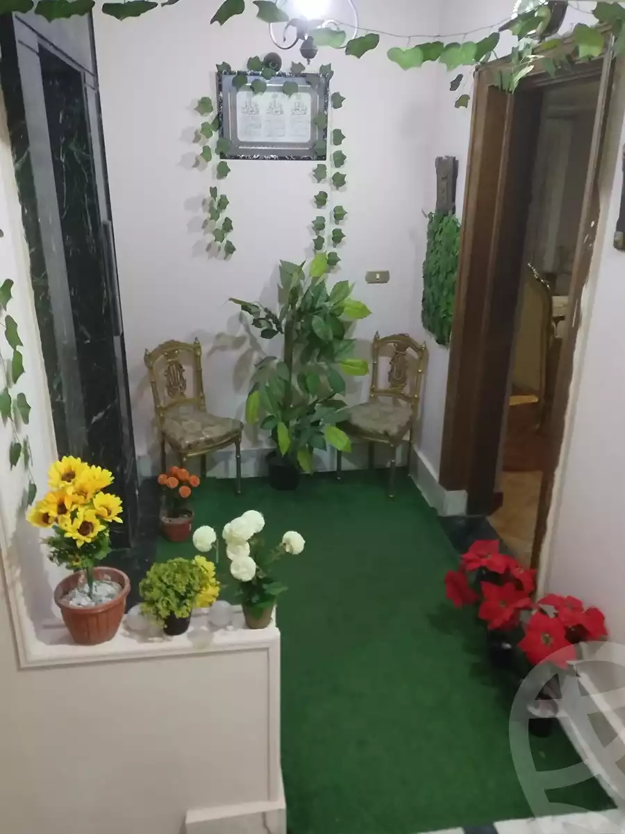 https://aqarmap.com.eg/en/listing/4357477-for-sale-alexandria-glim-isamil-al-habrok-st