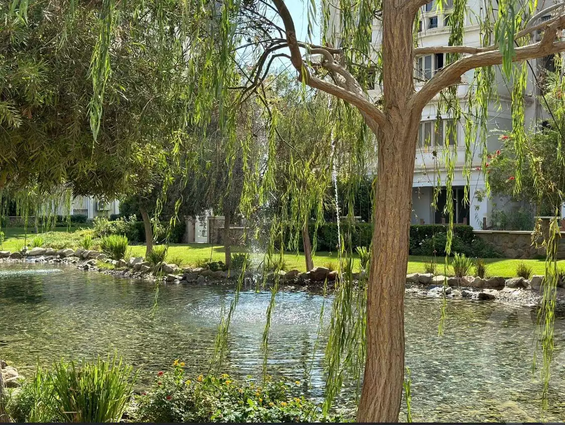 https://aqarmap.com.eg/en/listing/4359161-for-sale-cairo-new-cairo-compounds-mountain-view-hyde-park