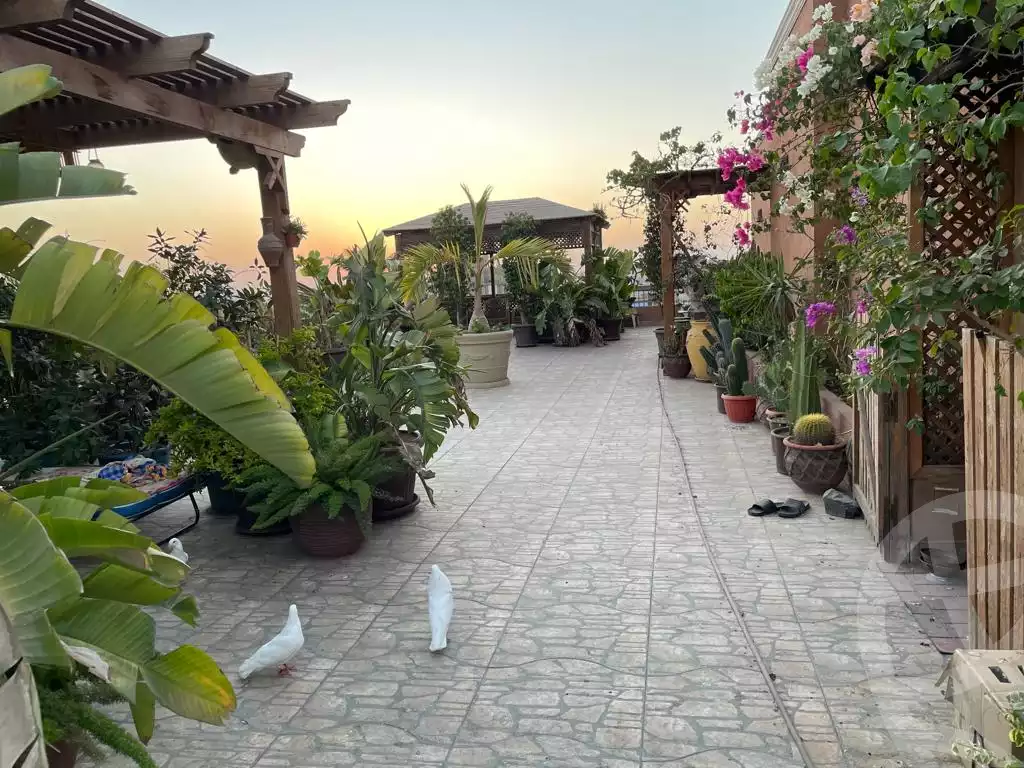 https://aqarmap.com.eg/en/listing/4368830-for-sale-cairo-heliopolis-heliopolis-square-shr-lhjz