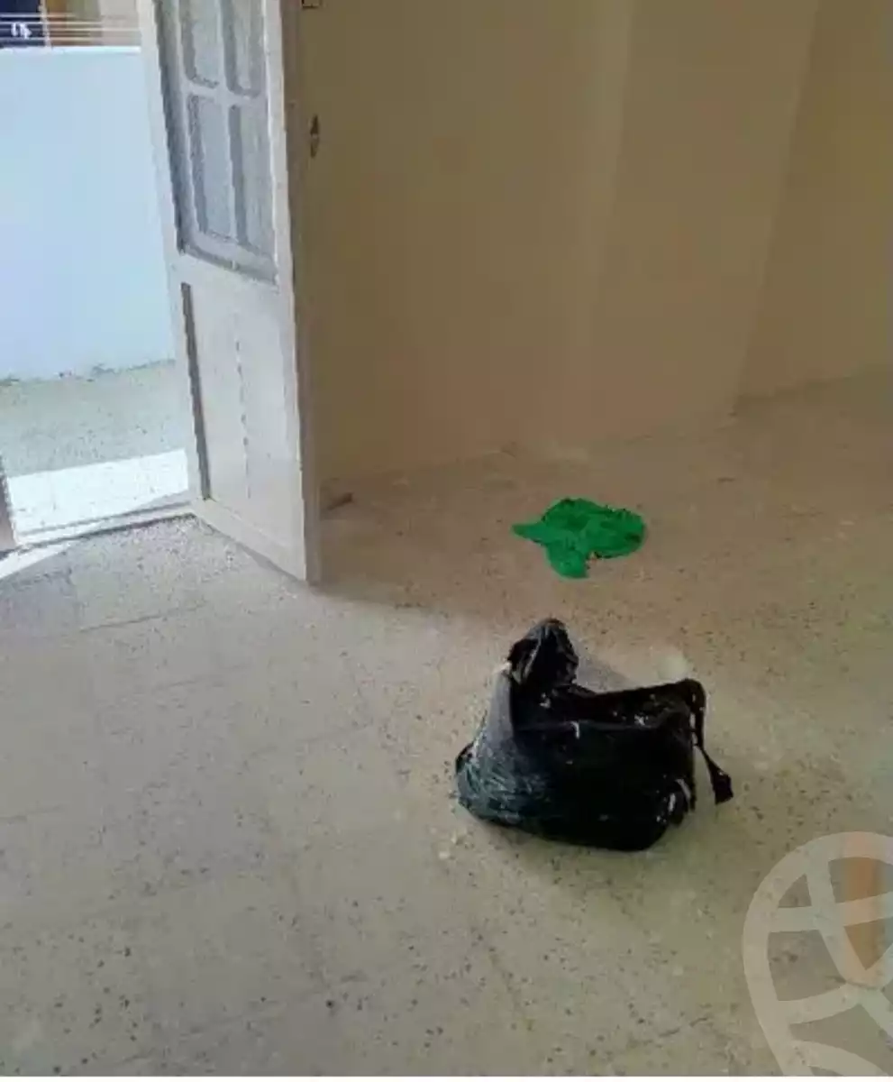 https://aqarmap.com.eg/en/listing/4368975-for-rent-alexandria-lsywf-el-falki