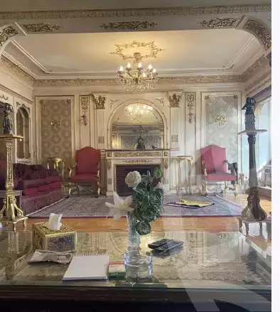 https://aqarmap.com.eg/en/listing/4370496-for-rent-cairo-manial-lmnyl-lshrqy
