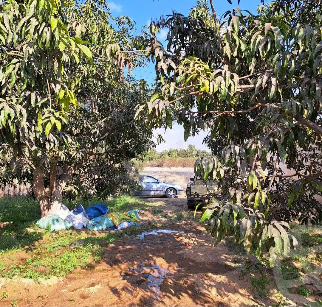 https://aqarmap.com.eg/ar/listing/4506267-for-sale-ismailia-mntq-fr-y-blsm-yly