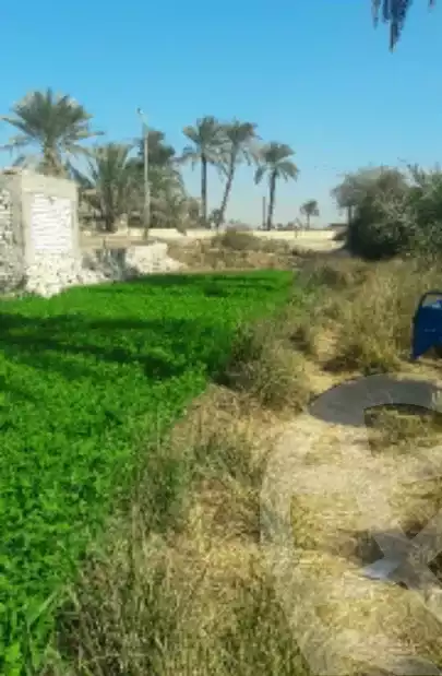 https://aqarmap.com.eg/en/listing/5302618-for-sale-asyut-asyut-city-shark-masged-al-fath
