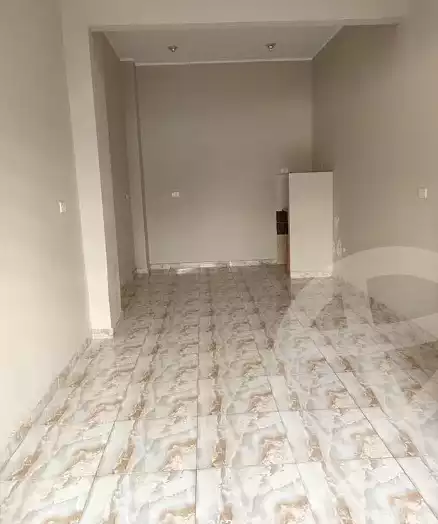 https://aqarmap.com.eg/ar/listing/4602811-for-sale-cairo-nasr-city