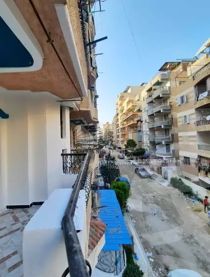 https://aqarmap.com.eg/en/listing/4665694-for-sale-alexandria-l-jmy-shataa-el-nakheel-octuber-al-nakhel-st