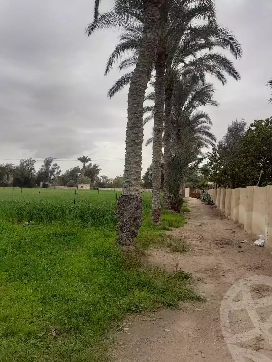 https://aqarmap.com.eg/en/listing/5527582-for-sale-beheira-wadi-el-natrun-kafr-dahoud
