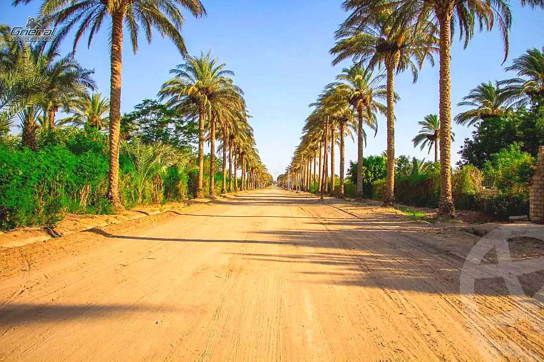 https://aqarmap.com.eg/ar/listing/4360493-for-sale-el-fayoum-sinnuris-monshat-tntawy
