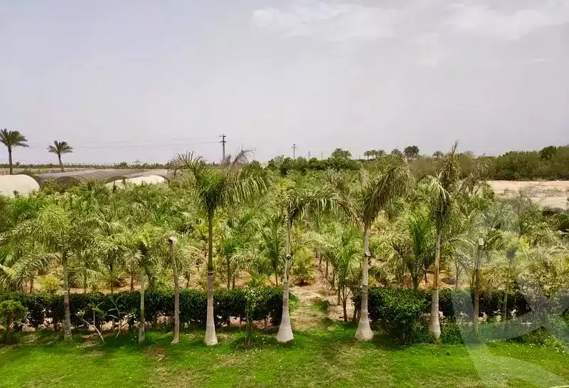 https://aqarmap.com.eg/ar/listing/4817381-for-sale-cairo-el-sheikh-zayed-city-alex-cairo-desert-road-mdyn-sfnks-ljdyd-stella-di-mare-farms