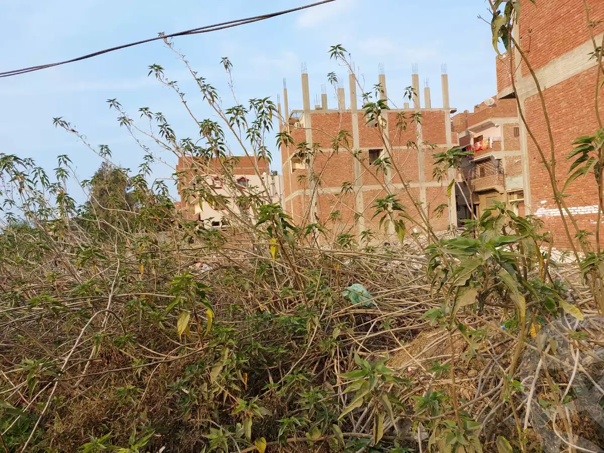 https://aqarmap.com.eg/en/listing/6356309-for-sale-sharqia-zagazig-el-ghar