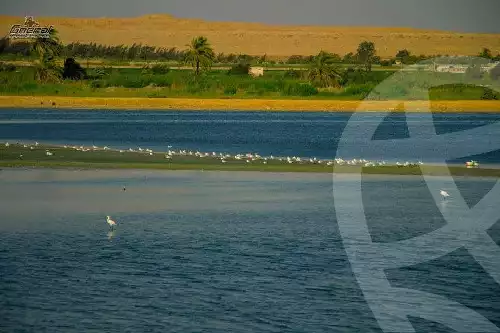 https://aqarmap.com.eg/en/listing/4546512-for-sale-el-fayoum-sinnuris-monshat-tntawy