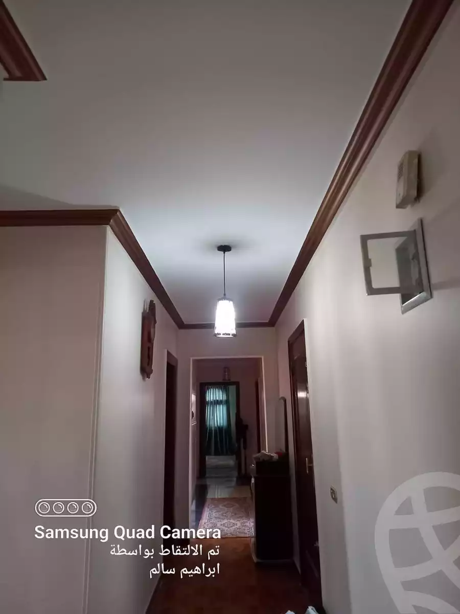 https://aqarmap.com.eg/en/listing/5001120-for-rent-dakahlia-mansoura