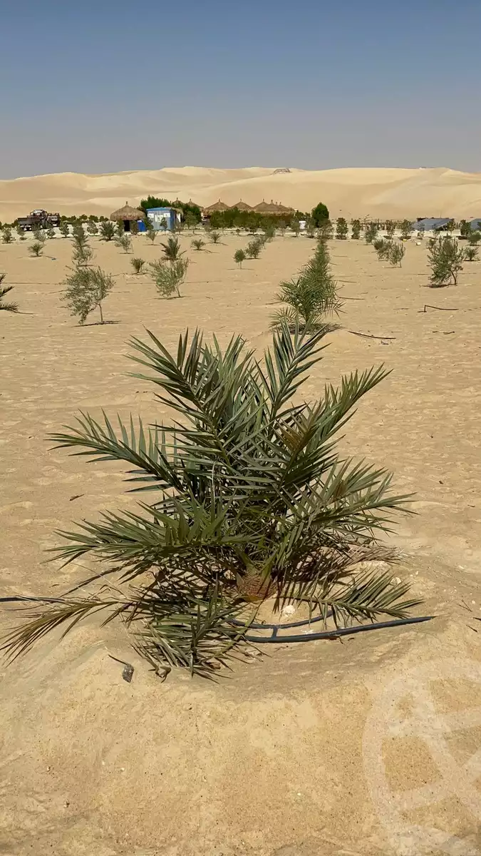 https://aqarmap.com.eg/ar/listing/5037831-for-sale-marsa-matruh-siwa-oasis-wahet-siwaa-city