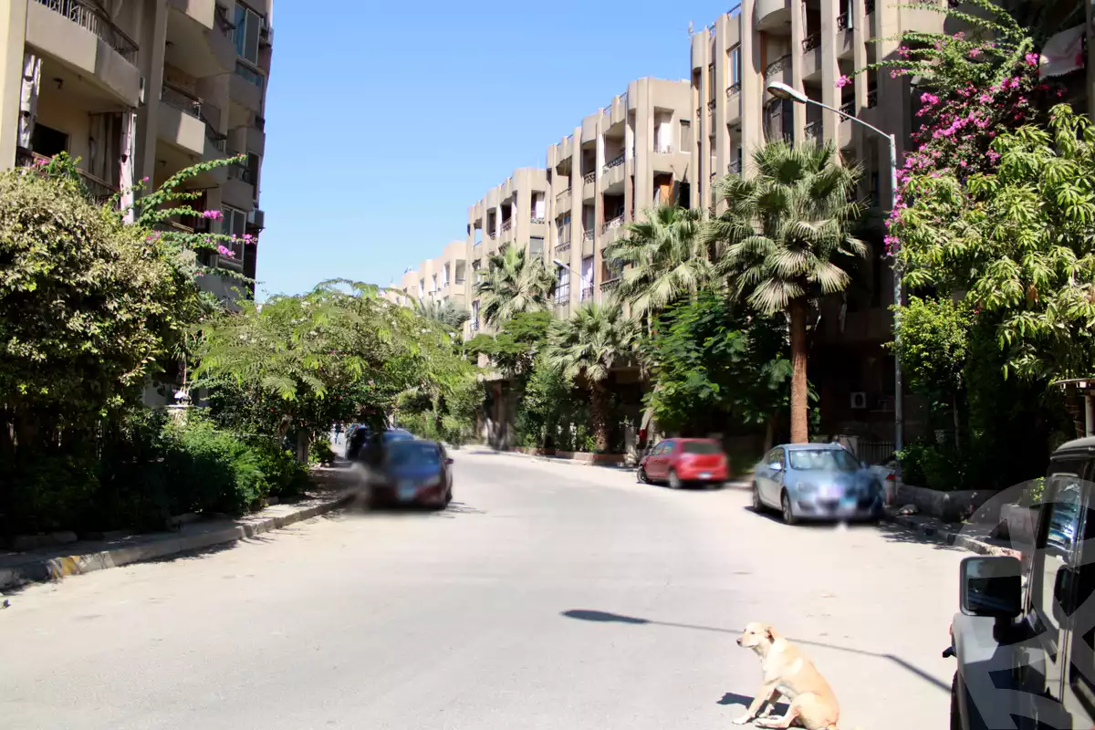 https://aqarmap.com.eg/en/listing/5106570-for-rent-cairo-el-maadi-zahraa-el-maadi-el-merag-el-elwy