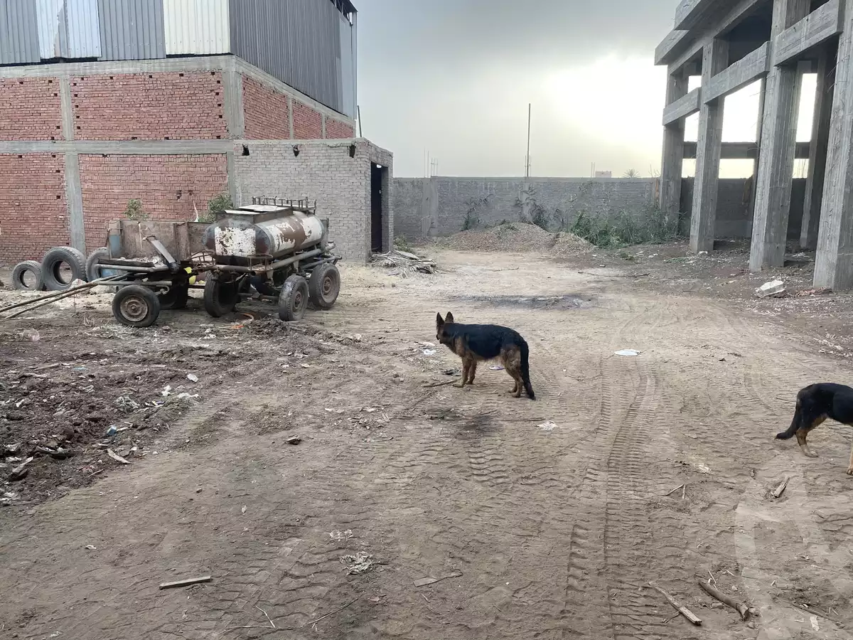 https://aqarmap.com.eg/ar/listing/5815054-for-sale-dakahlia-mit-ghamr-mit-ghamr-city