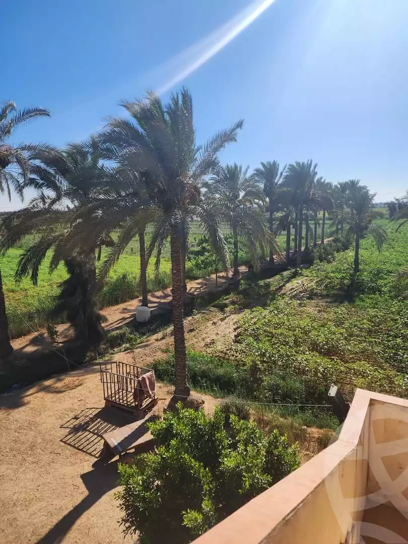 https://aqarmap.com.eg/ar/listing/5181530-for-sale-alexandria-el-amreya
