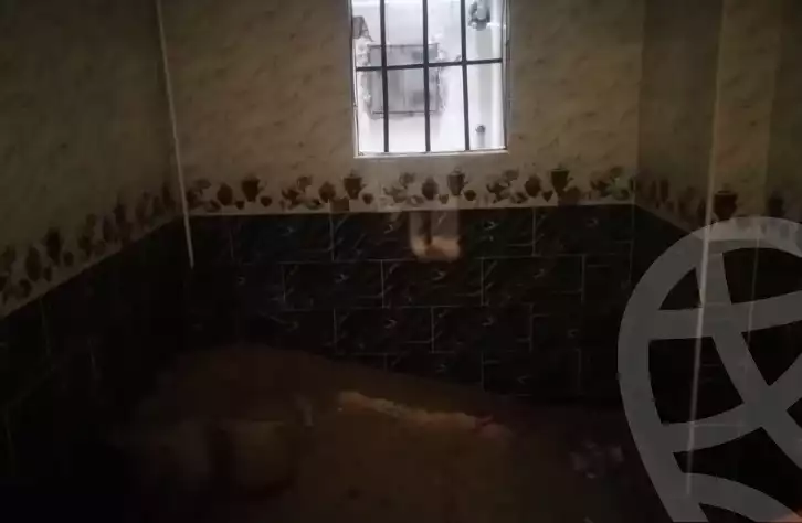 https://aqarmap.com.eg/ar/listing/5189296-for-rent-cairo-el-abbasiya-ahmed-saaid