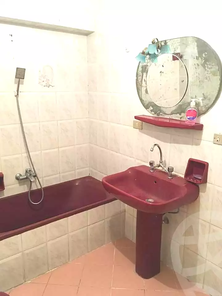 https://aqarmap.com.eg/en/listing/5190319-for-rent-alexandria-roshdy