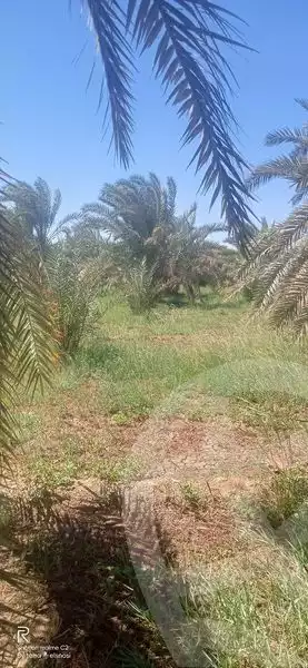 https://aqarmap.com.eg/en/listing/5191326-for-rent-ismailia-ismailia-city-ismailia-city