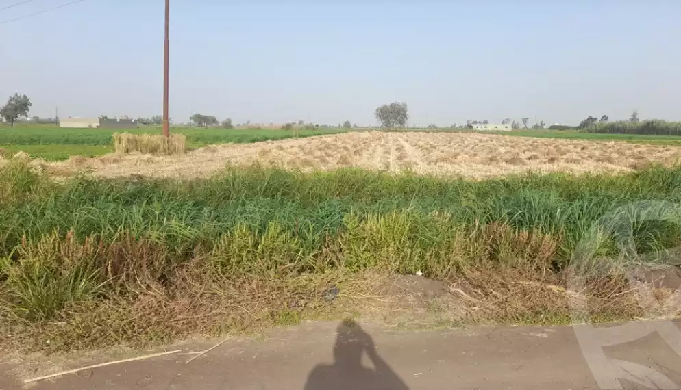 https://aqarmap.com.eg/en/listing/5198700-for-sale-dakahlia-mansoura