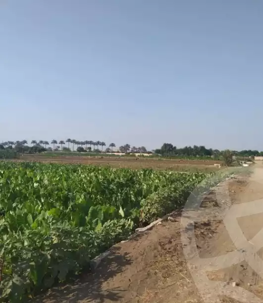 https://aqarmap.com.eg/en/listing/5201582-for-sale-monufia-quweisna