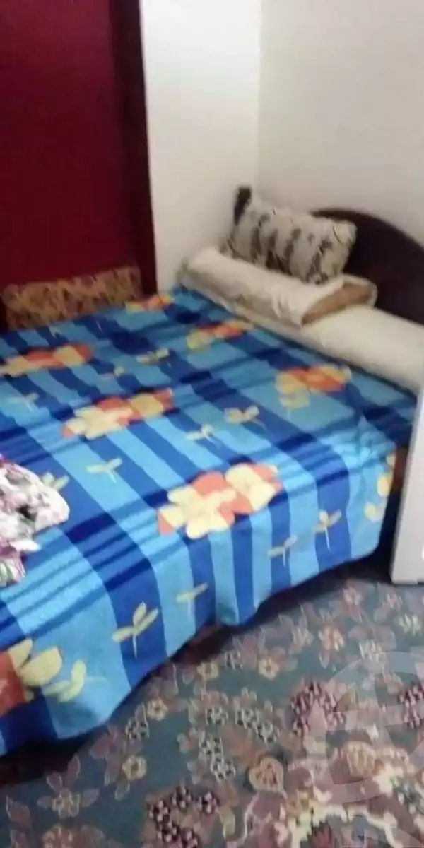 https://aqarmap.com.eg/en/listing/5212111-for-rent-alexandria-el-hanouvel-gabir-hafez-st