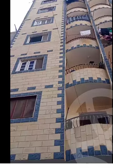 https://aqarmap.com.eg/en/listing/5215658-for-sale-cairo-el-haram-shareaa-khatem-el-morsalen