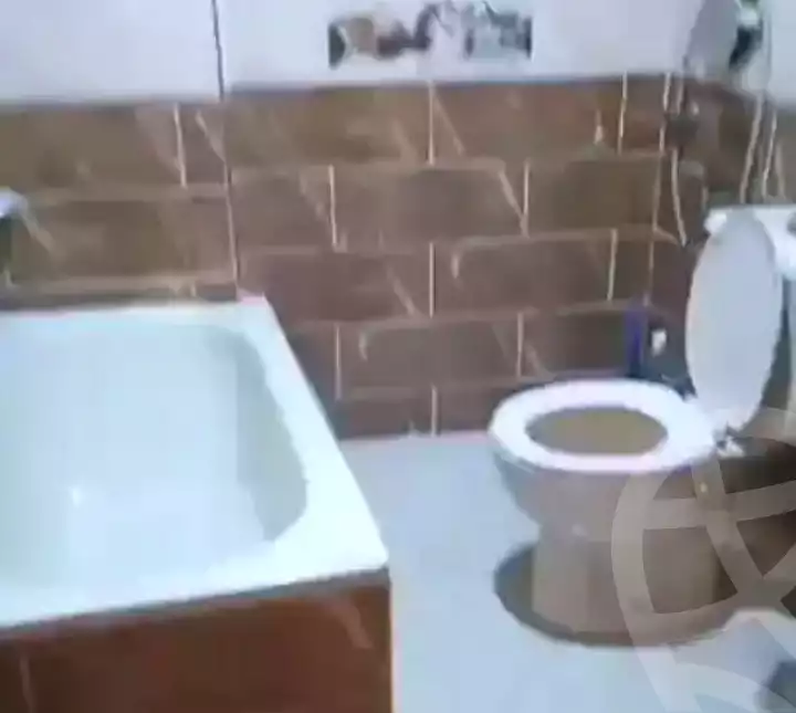 https://aqarmap.com.eg/en/listing/5221918-for-rent-cairo-el-omraneya