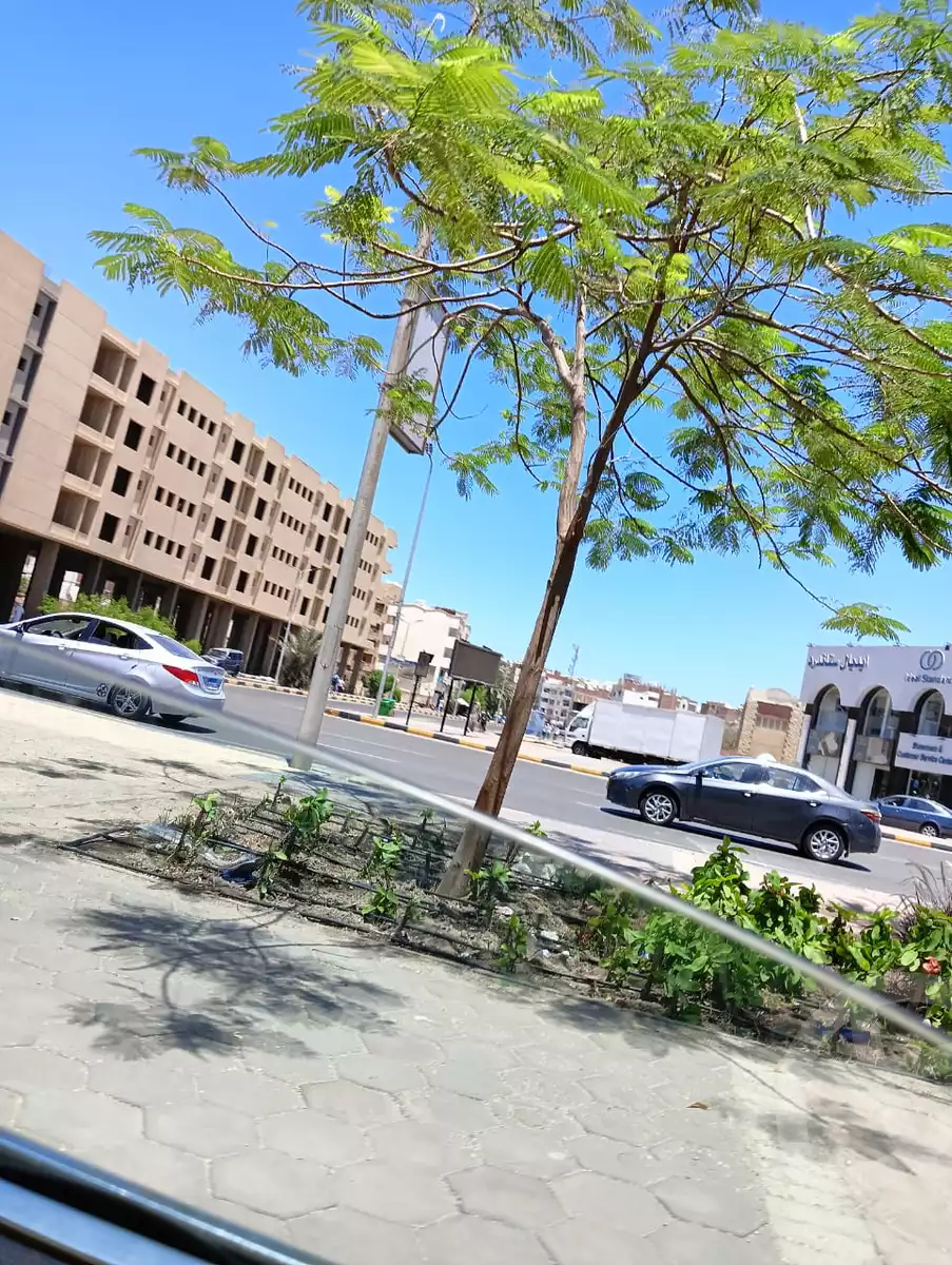 https://aqarmap.com.eg/en/listing/5227395-for-sale-red-sea-hurghada-city-downtownn