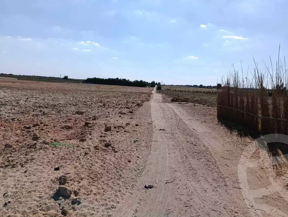 https://aqarmap.com.eg/en/listing/5228582-for-sale-beheira-wadi-el-natrun