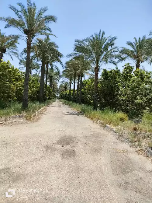 https://aqarmap.com.eg/en/listing/5230081-for-sale-suez-el-ganain-geneffe